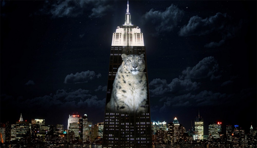 Le célèbre gratte-ciel de New-York Empire State Building se met aux couleurs des espèces animales en danger